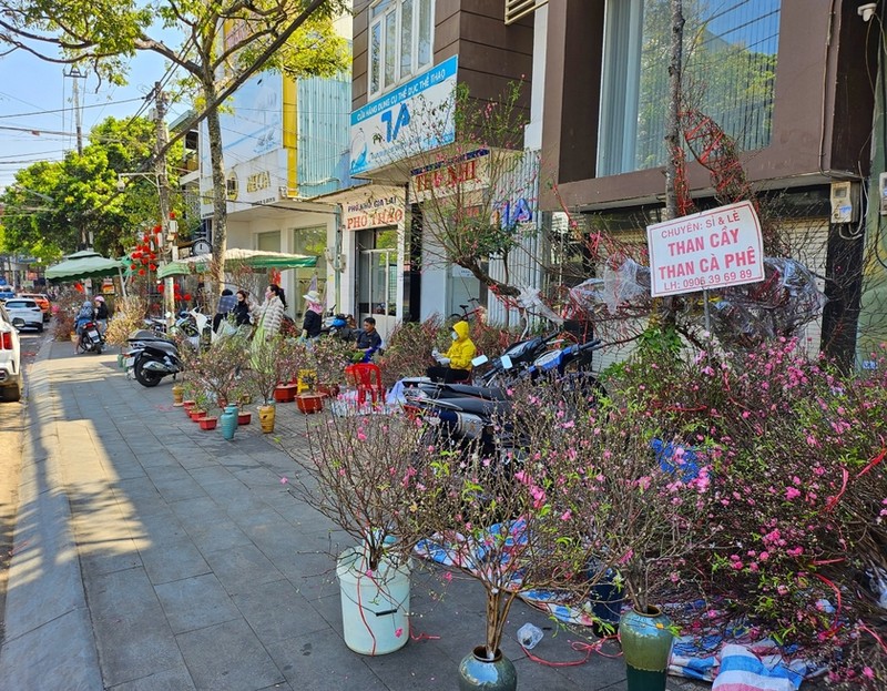 Dao, quat mini bat ngo “dat nhu tom tuoi” ngay can Tet-Hinh-7