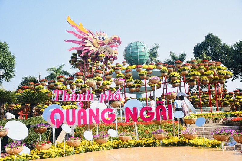 ‘Trum cuoi’ linh vat rong o Quang Ngai xuat hien nhan mua loi khen yAhoo 28-Hinh-14