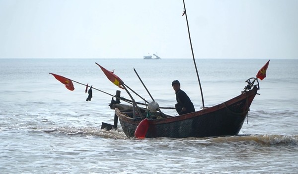 Bat ngo loai ca xua lon an nay trieu dong/kg khach tranh nhau mua-Hinh-10