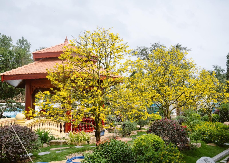 Cận cảnh dinh thự dát vàng xa hoa bậc nhất miền Tây - Hình 10 Can canh dinh thu dat vang xa hoa bac nhat mien Tay-Hinh-10