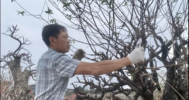 Dan buon dao quat vua an 'qua dang' vu Tet