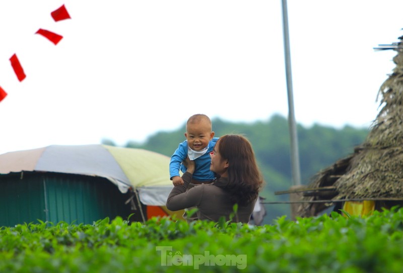 Gioi tre nuom nuop den check in 'Vinh Ha Long xu Nghe'-Hinh-10