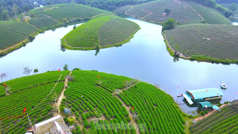 Gioi tre nuom nuop den check in 'Vinh Ha Long xu Nghe'-Hinh-2