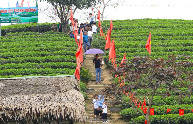 Gioi tre nuom nuop den check in 'Vinh Ha Long xu Nghe'-Hinh-4