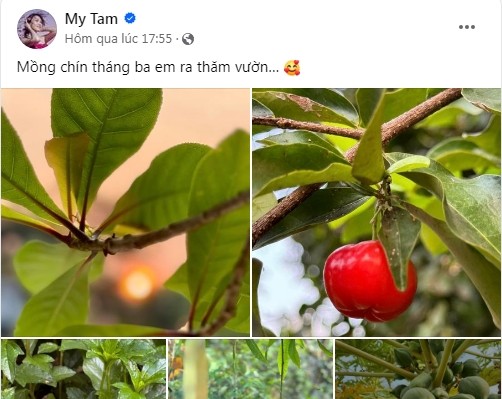 Khu vuon xanh muot “di moi chan khong het” cua My Tam