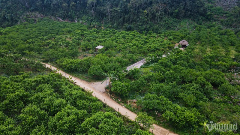 Du khach do len Moc Chau, 'tranh nhau' hai man dau mua-Hinh-3