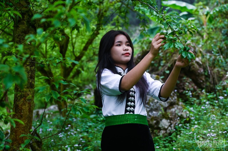 Du khach do len Moc Chau, 'tranh nhau' hai man dau mua-Hinh-8