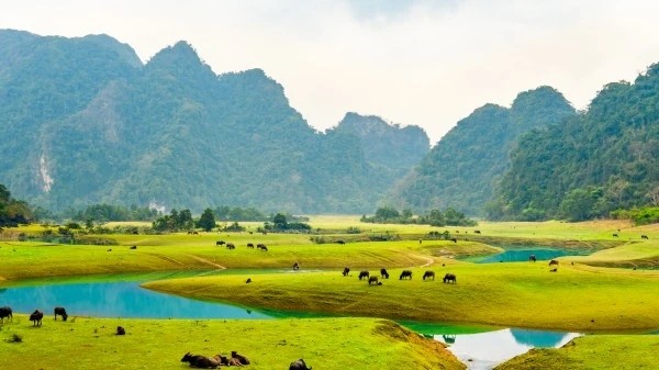 View - 	Đề nghị UNESCO công nhận công viên địa chất toàn cầu ở Lạng Sơn