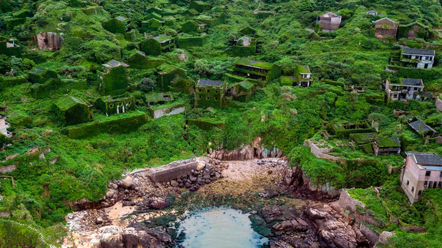 Ngoi lang co bo hoang bi thien nhien 'nuot chung'-Hinh-4