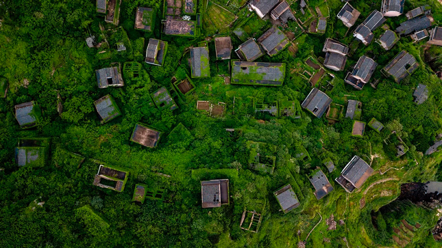 Ngoi lang co bo hoang bi thien nhien 'nuot chung'