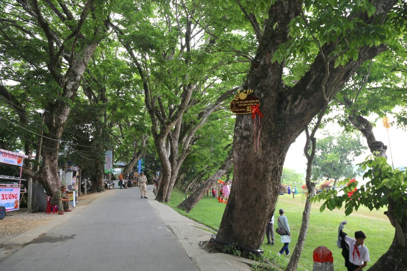 Ngam quan the 9 cay giang huong an tram tuoi o Quang Nam-Hinh-10