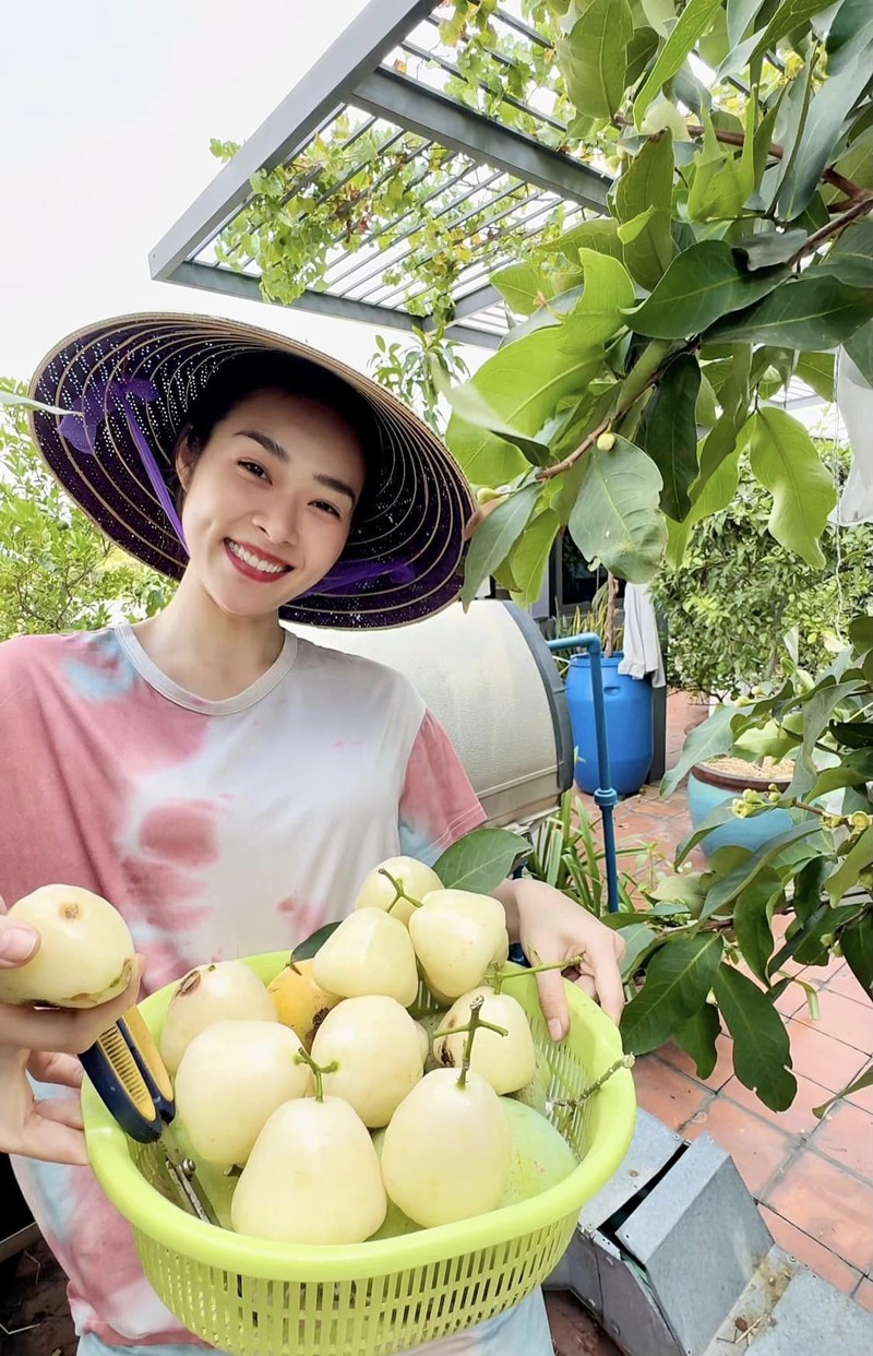 Me tit khu vuon tren cao “sieu trai” cua Diep Bao Ngoc-Hinh-8