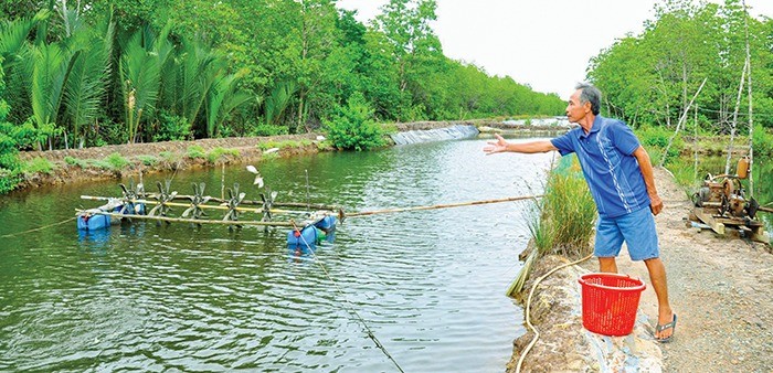 Nuoi thanh cong ca mu, nong dan Kien Giang ban 200.000-210.000 dong/kg