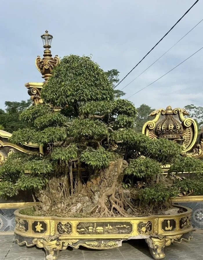 Vuon bonsai “khung” trong lau dai 100 ty cua dai gia xu Nghe-Hinh-3