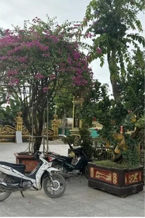 Vuon bonsai “khung” trong lau dai 100 ty cua dai gia xu Nghe-Hinh-5