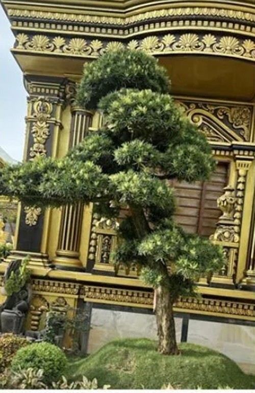 Vuon bonsai “khung” trong lau dai 100 ty cua dai gia xu Nghe-Hinh-7
