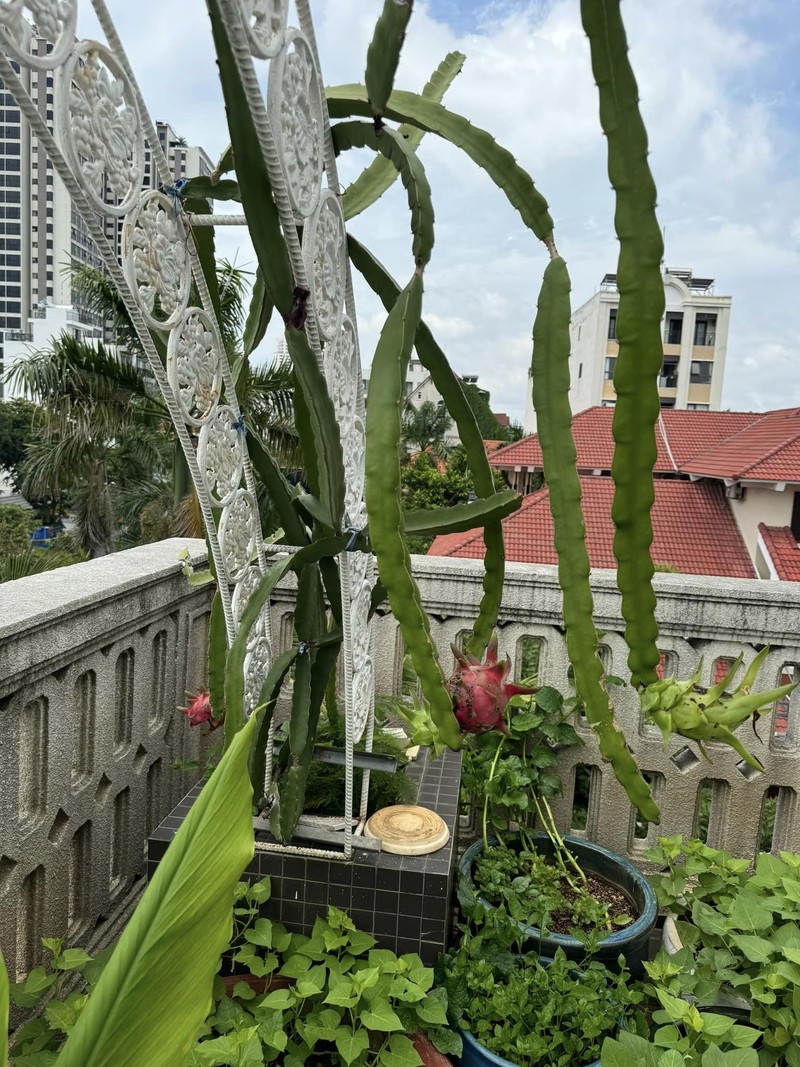 Biet thu nhu cung dien “di mai khong het” cua Hoa hau Giang My-Hinh-12