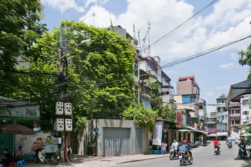 Bao My an tuong ngoi nha phu cay xanh mat ruoi giua Ha Noi