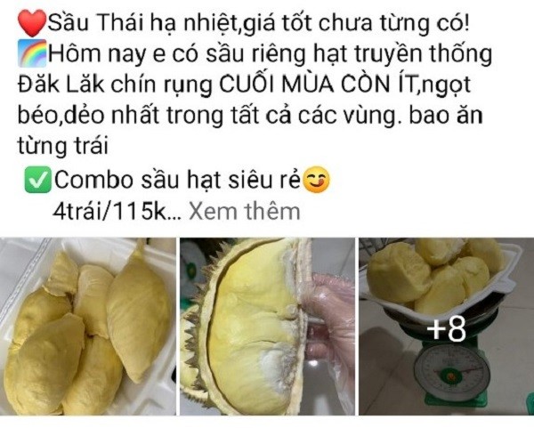 Thuc hu sau rieng 30.000 dong/trai