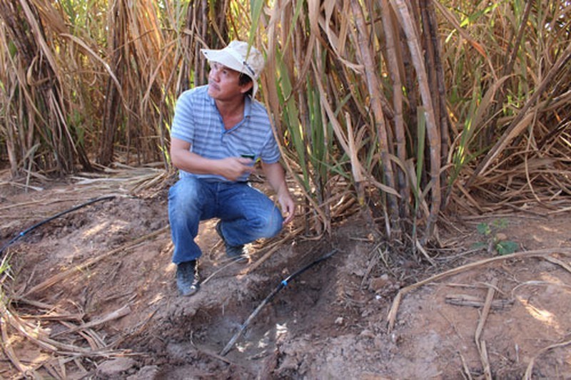 Anh doi thuong gian di den bat ngo cua dai gia Viet-Hinh-6