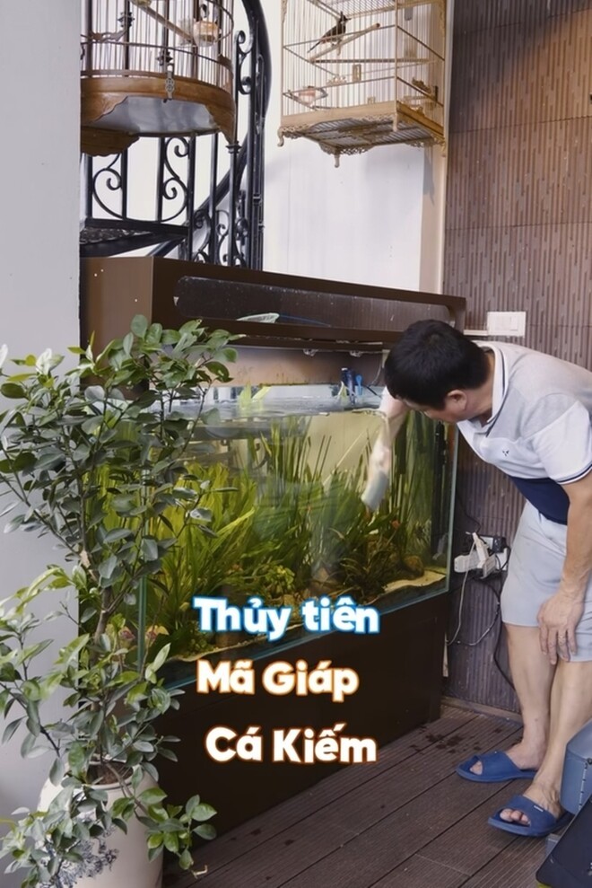 Can canh goc dat gia trong “gia trang” cua nghe si Chi Trung-Hinh-4