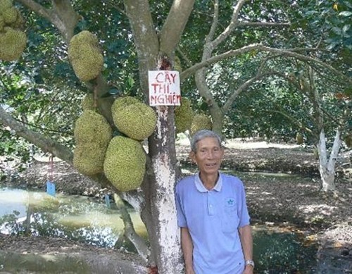 Bat mi loai cay “quy nhu vang” giup lao nong kiem tien ty-Hinh-10