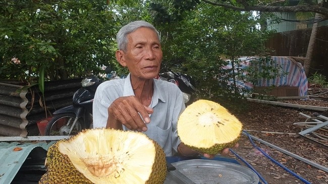 Bat mi loai cay “quy nhu vang” giup lao nong kiem tien ty-Hinh-4