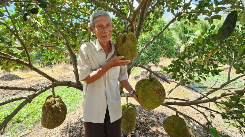 Bat mi loai cay “quy nhu vang” giup lao nong kiem tien ty-Hinh-9