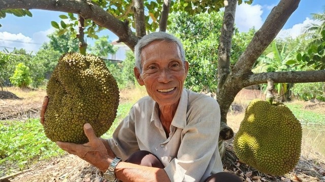 Bat mi loai cay “quy nhu vang” giup lao nong kiem tien ty