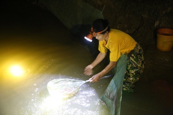 “Loc troi” chui len tu long dat nua trieu dong/kg van hut khach-Hinh-8