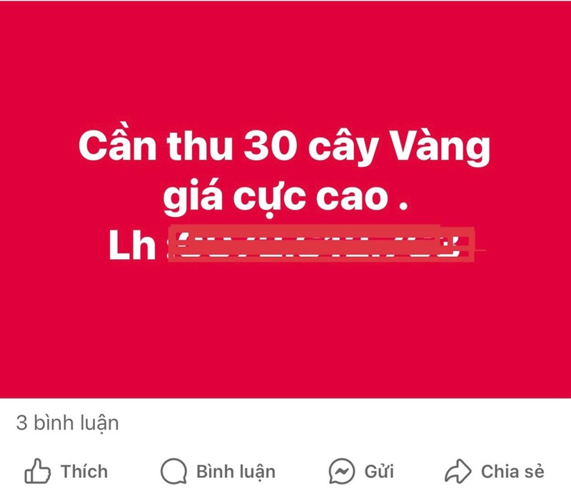 Xep hang dai ca ngay cho tiem vang mo cua bat thinh linh-Hinh-3