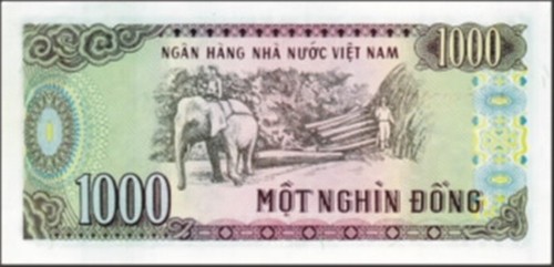 6 to tien giay cotton dang luu hanh nhung hiem gap tai Viet Nam-Hinh-9