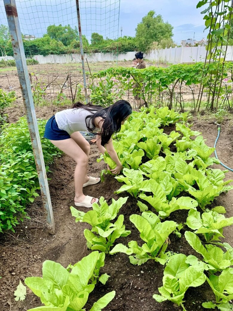 Da mat ngam vuon rau xanh muot trong biet thu cua Doan Di Bang-Hinh-3