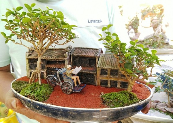 Bo suu tap bonsai mini ky luc the gioi cua lao nong Nha Trang-Hinh-11