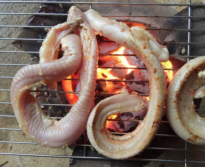 Loài cá nhìn như “quái vật”, đại gia lùng mua ráo riết - Hình 8 Loai ca nhin nhu “quai vat”, dai gia lung mua rao riet-Hinh-8