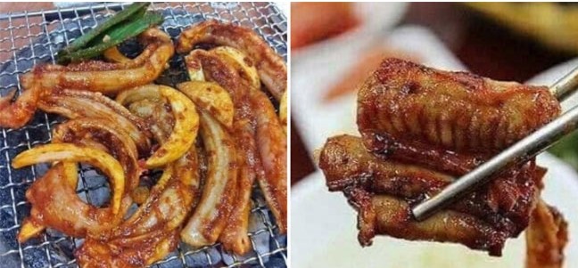 Loài cá nhìn như “quái vật”, đại gia lùng mua ráo riết - Hình 9 Loai ca nhin nhu “quai vat”, dai gia lung mua rao riet-Hinh-9