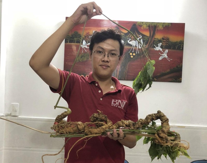 Loài cây quý hiếm, chỉ có tại Việt Nam đắt cỡ nào? - Hình 10 Loai cay quy hiem, chi co tai Viet Nam dat co nao?-Hinh-10