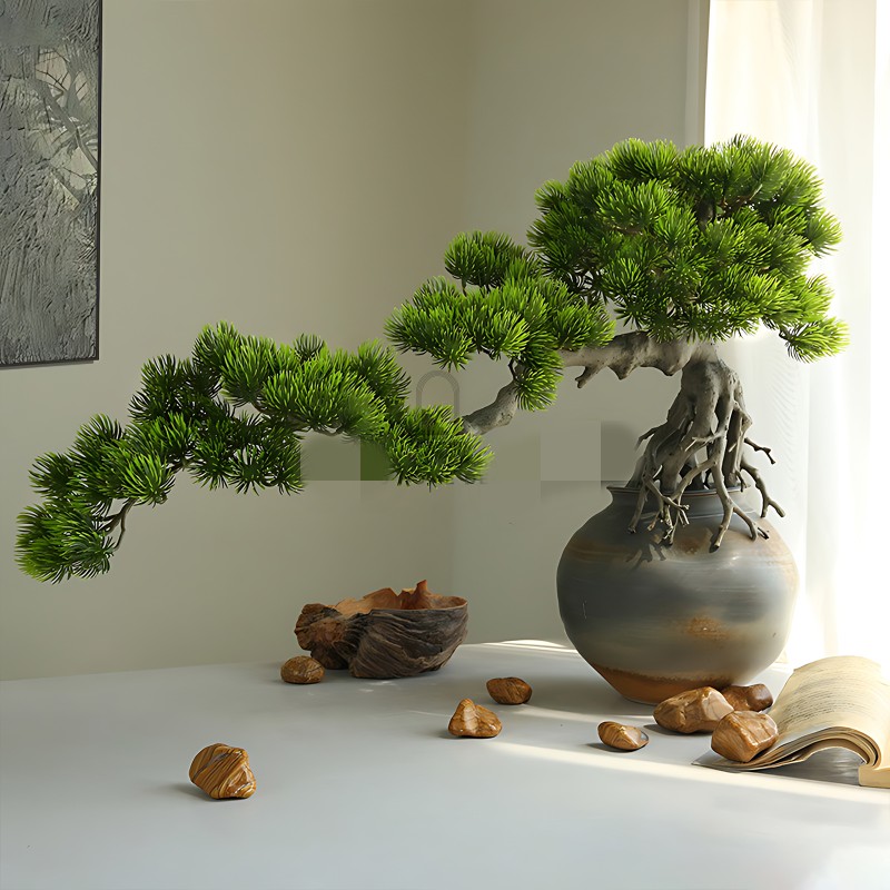 10 su that ngac nhien it nguoi biet ve bonsai-Hinh-9