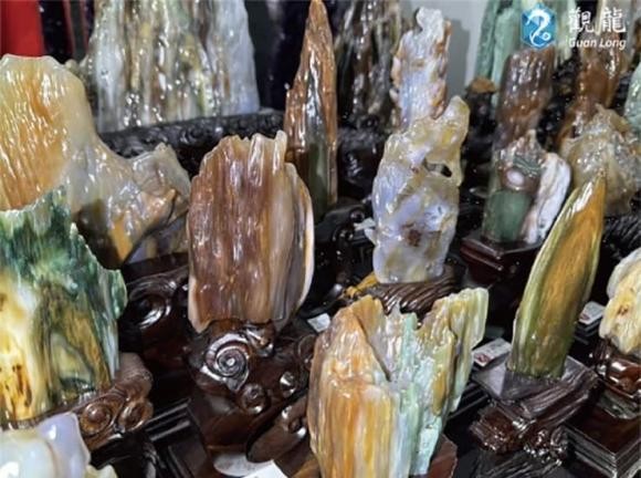 Tận mục loại gỗ quý hiếm sánh ngang kim cương, giá 600 tỷ - Hình 4 Tan muc loai go quy hiem sanh ngang kim cuong, gia 600 ty-Hinh-4