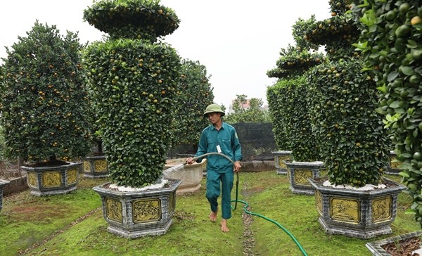 Ngam quyt khong lo tao hinh chua Tet da “chay hang“-Hinh-5