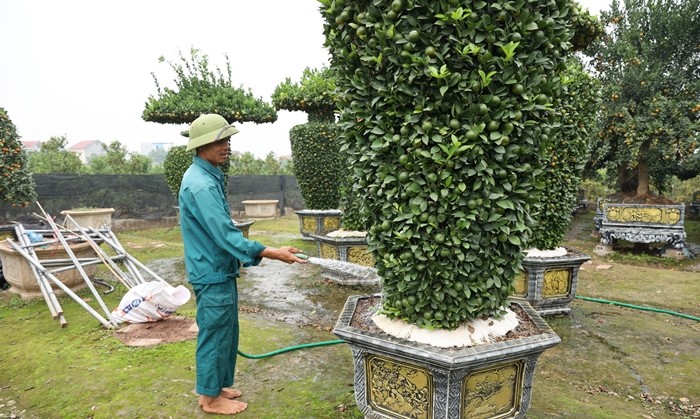 Ngam quyt khong lo tao hinh chua Tet da “chay hang“-Hinh-6