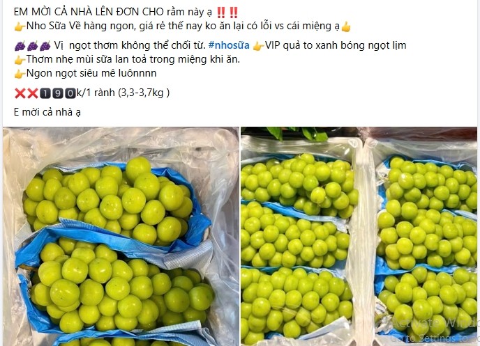 Can Tet, nho sua “quy toc” gia re do bo cho Viet