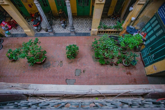 Biet thu tram tuoi cua dai gia giau nhat pho co Ha Noi xua-Hinh-5