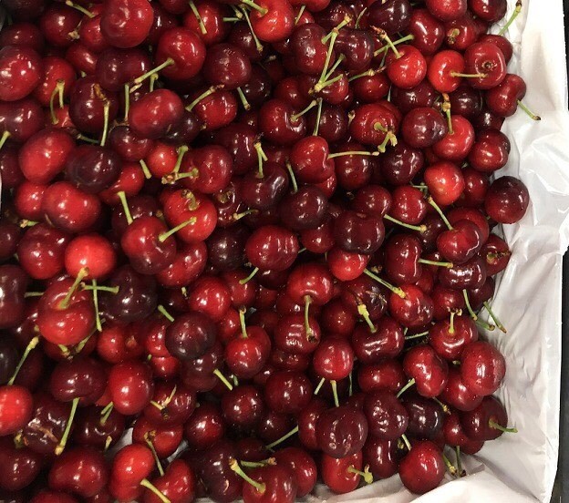 Cherry Uc 2 trieu dong/kg van “chay hang” truoc Tet-Hinh-5