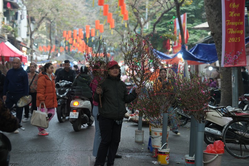 Cho hoa Tet Hang Luoc nguoi ban ke mua tap nap-Hinh-3