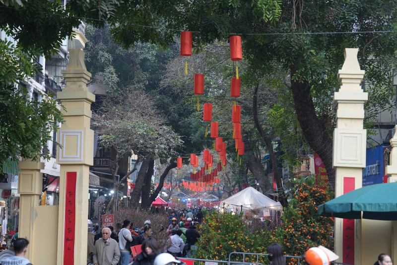 Cho hoa Tet Hang Luoc nguoi ban ke mua tap nap