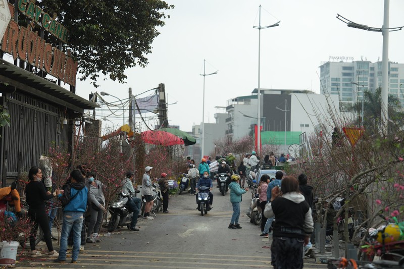 Cho hoa lon nhat Ha Noi nhon nhip ngay giap Tet-Hinh-2