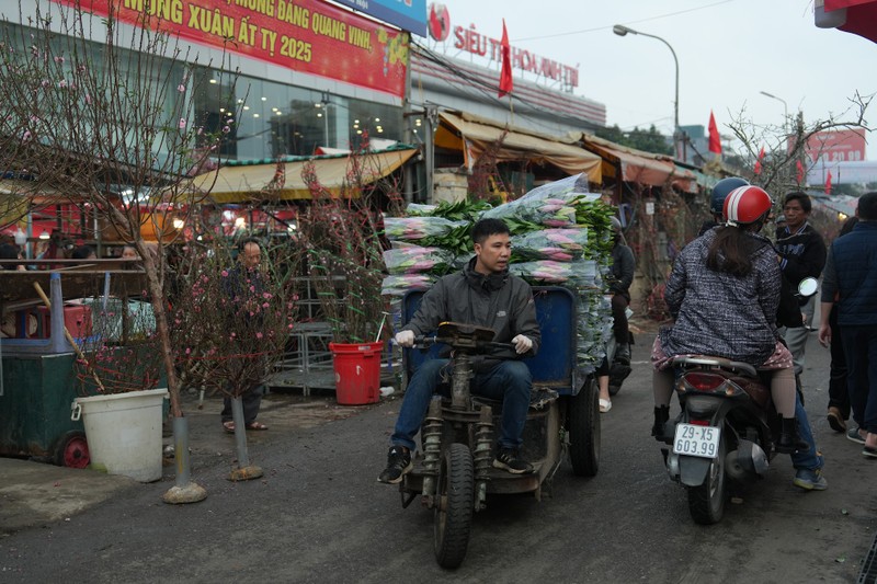 Cho hoa lon nhat Ha Noi nhon nhip ngay giap Tet-Hinh-4