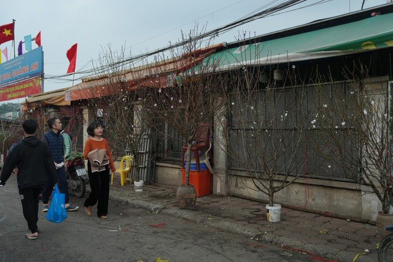 Cho hoa lon nhat Ha Noi nhon nhip ngay giap Tet-Hinh-5