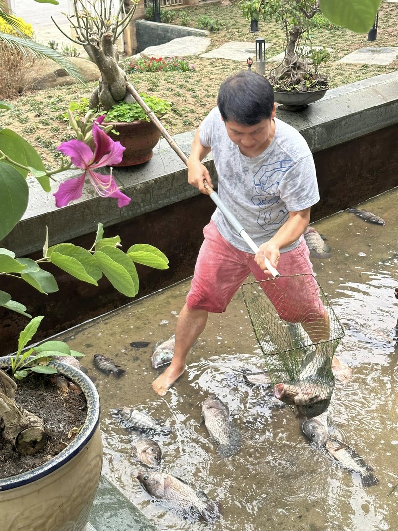 Nha vuon trong rau nuoi ga o Thanh Hoa cua ca si Trong Tan-Hinh-11